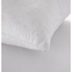 county_pillow_1-1500_2 (1)