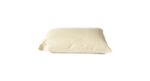 vapor_permeable_pillow (1)